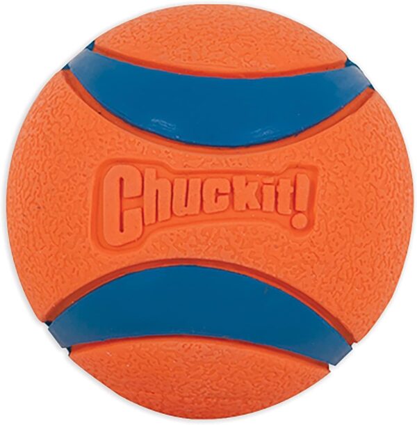 chewable Pet Ball